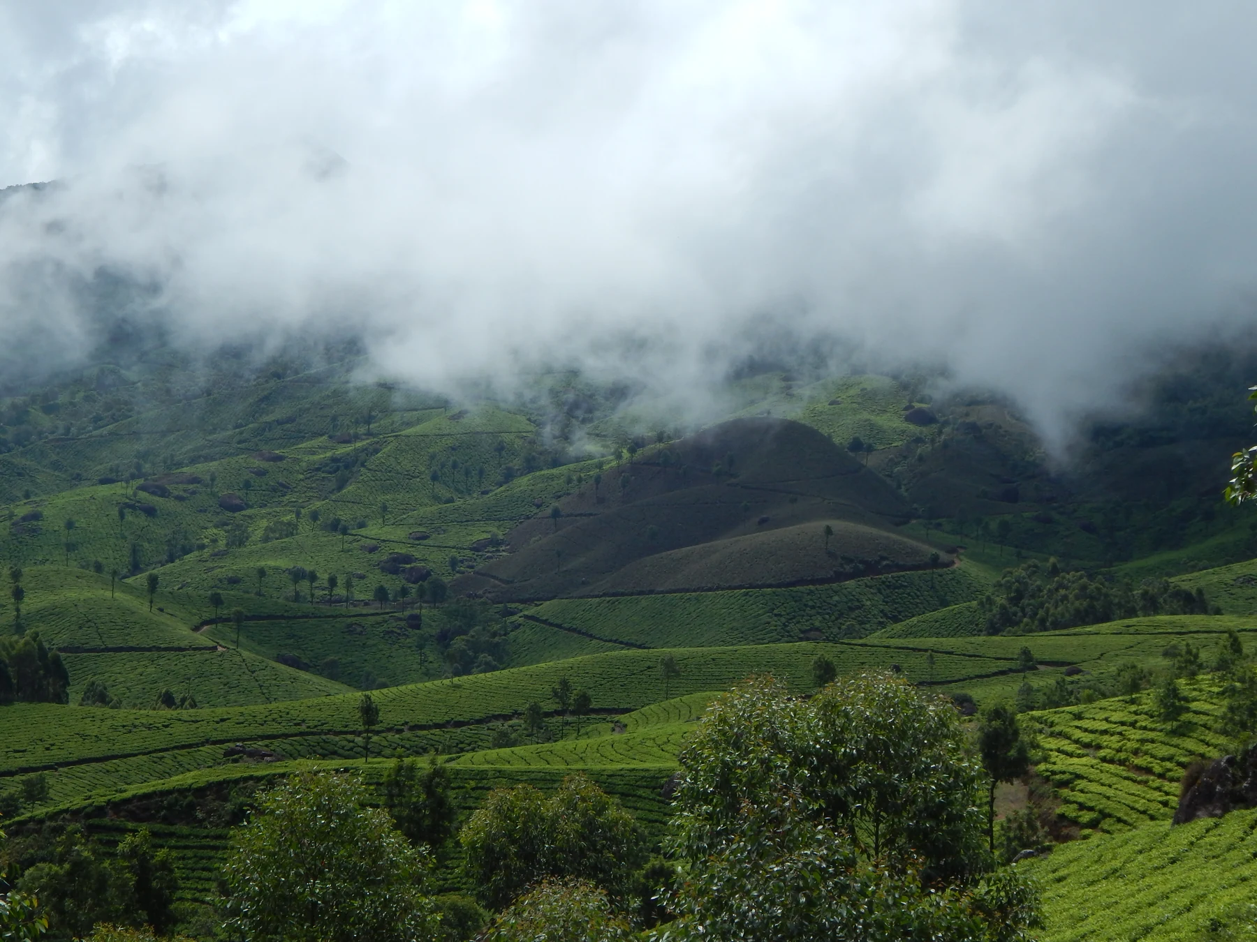 Munnar